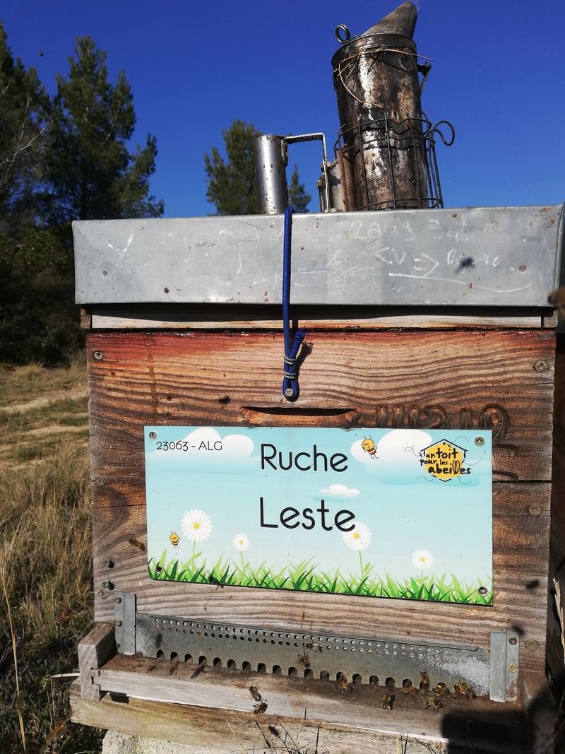 La ruche Leste