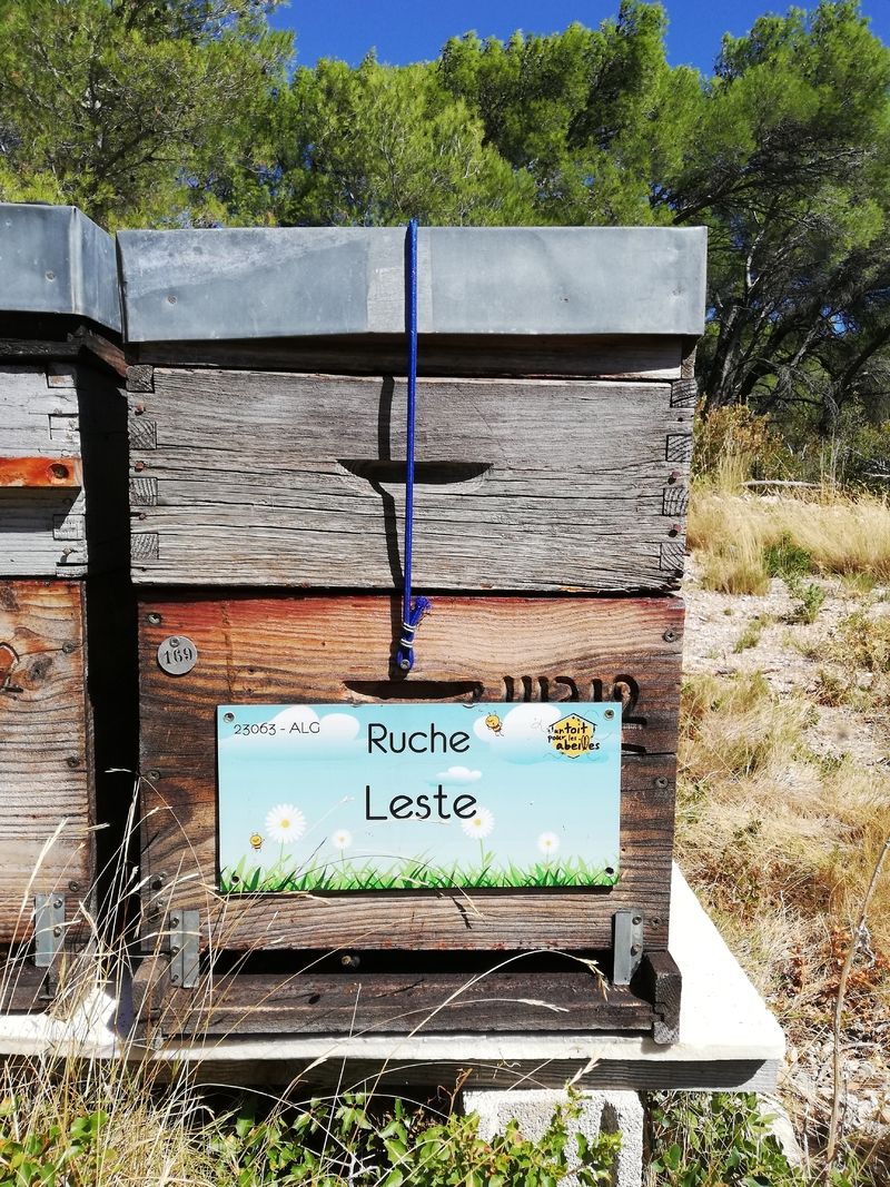 La ruche Leste
