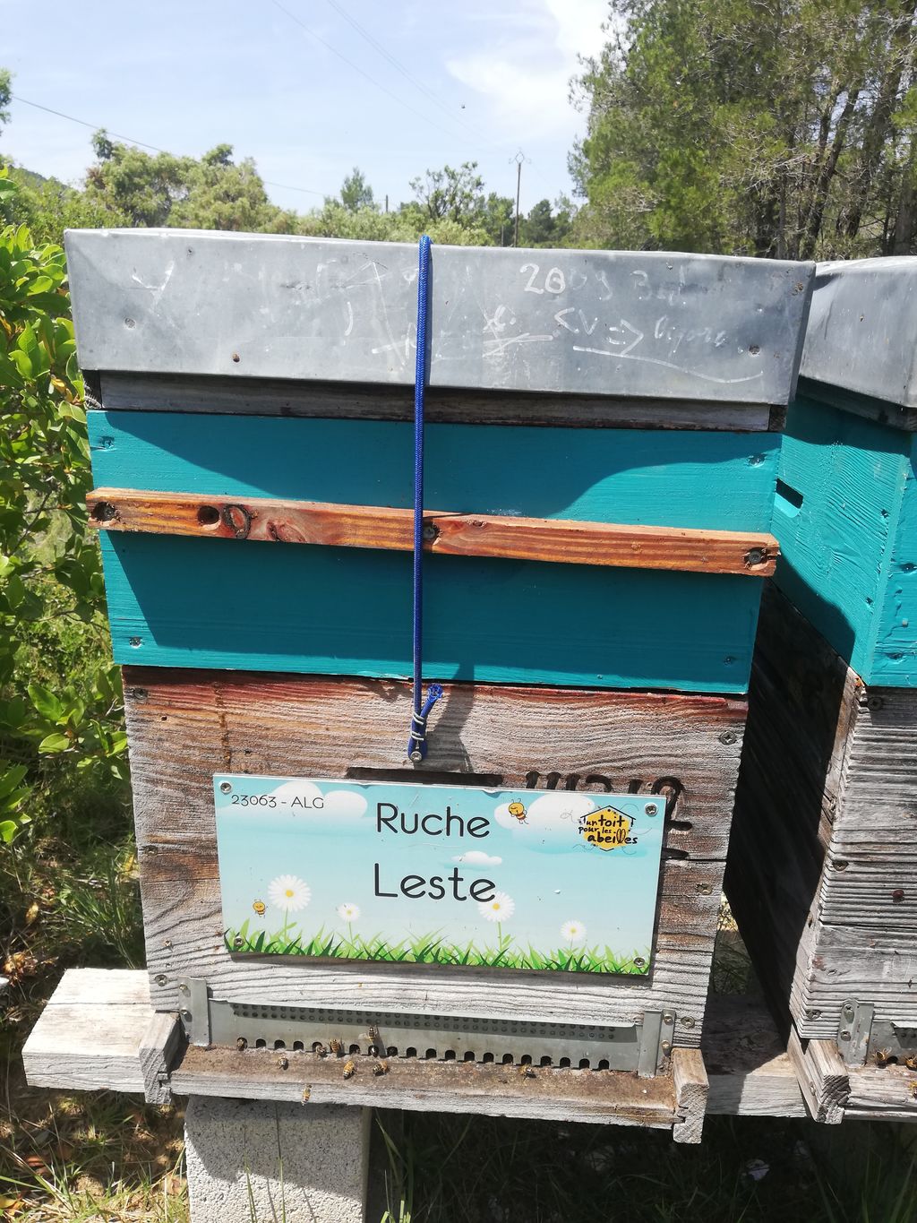 La ruche Leste