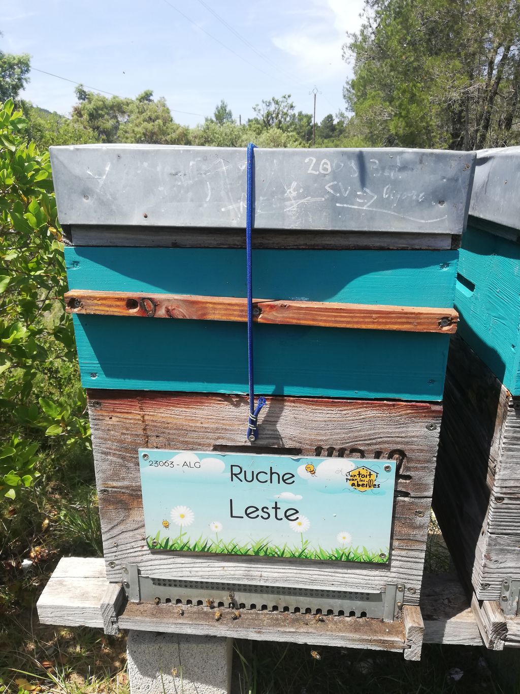 La ruche Leste