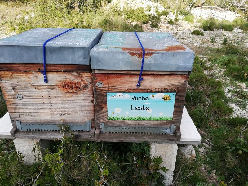 La ruche Leste