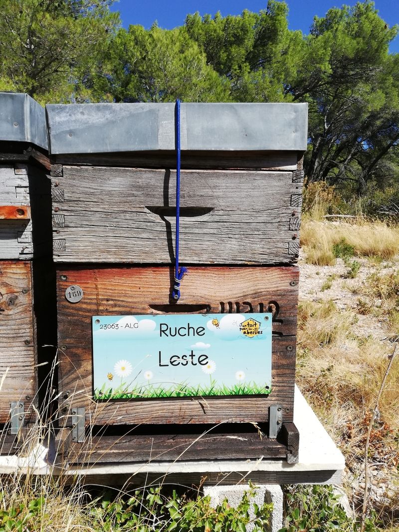 La ruche Leste