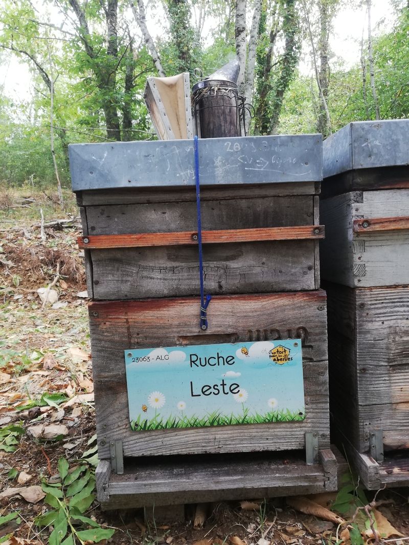 La ruche Leste