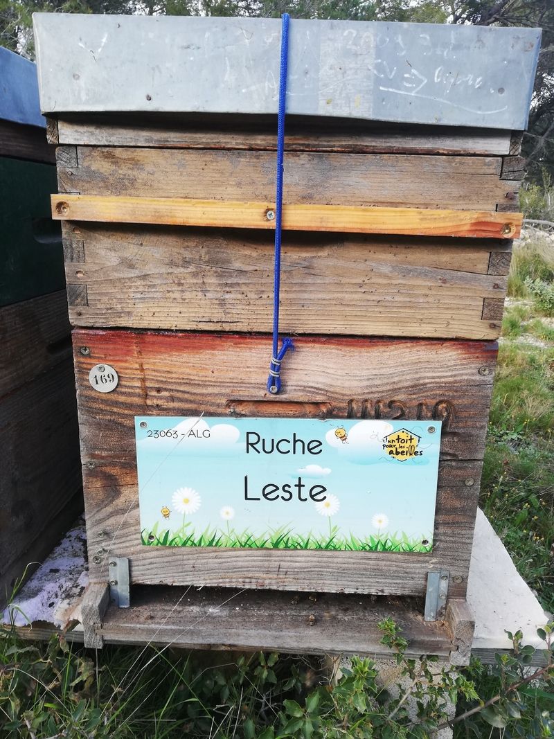 La ruche