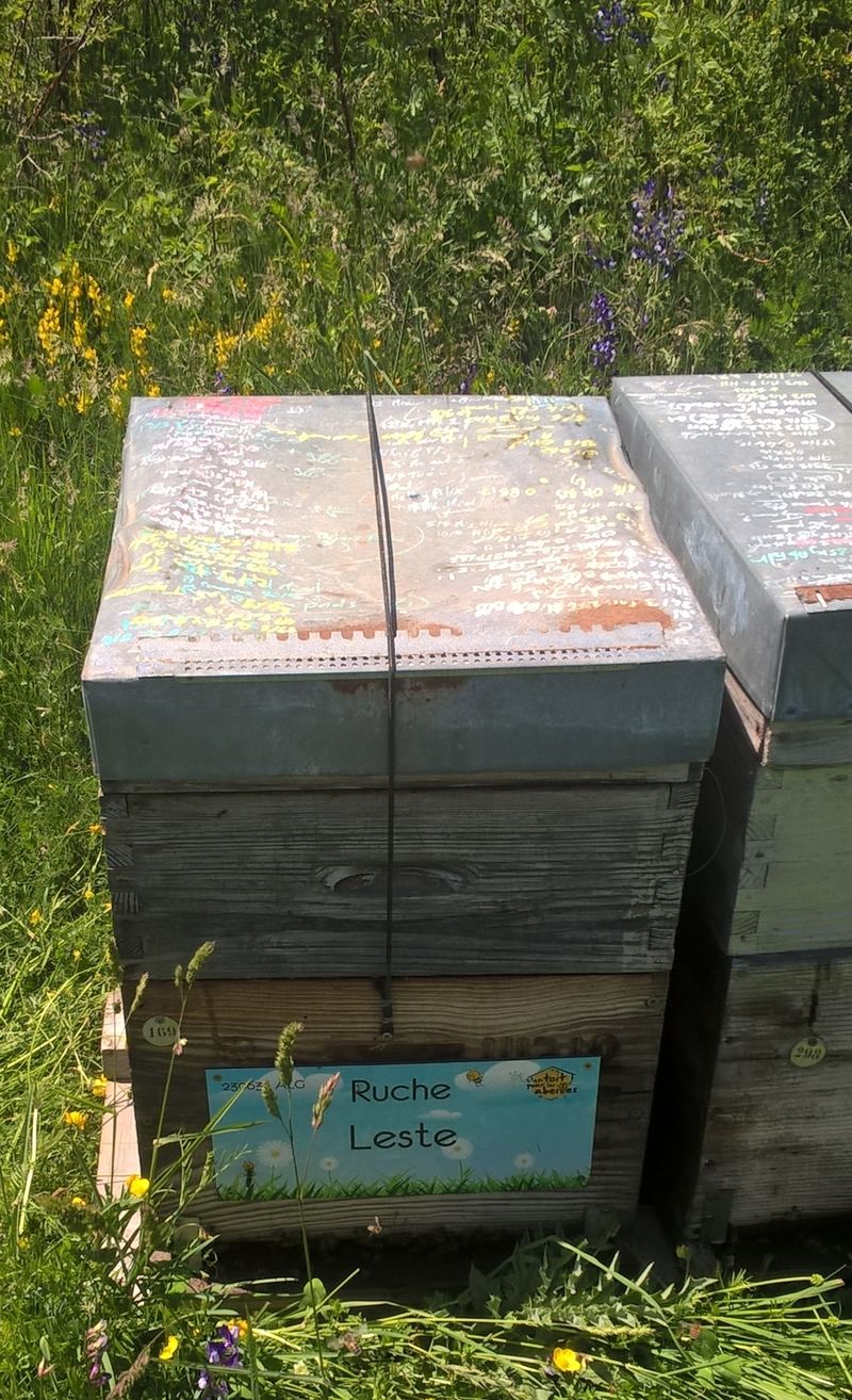 La ruche Leste