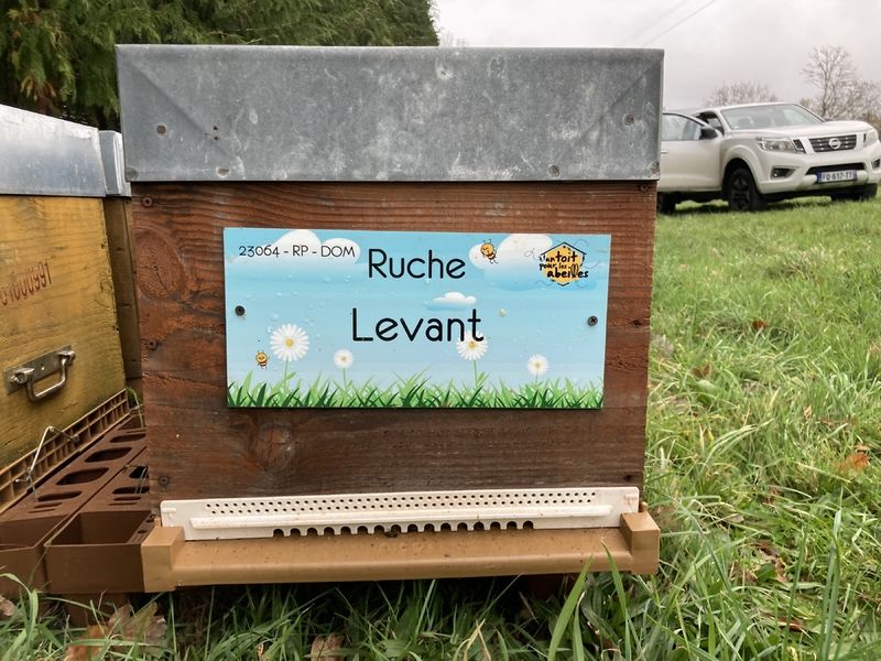 La ruche Levant