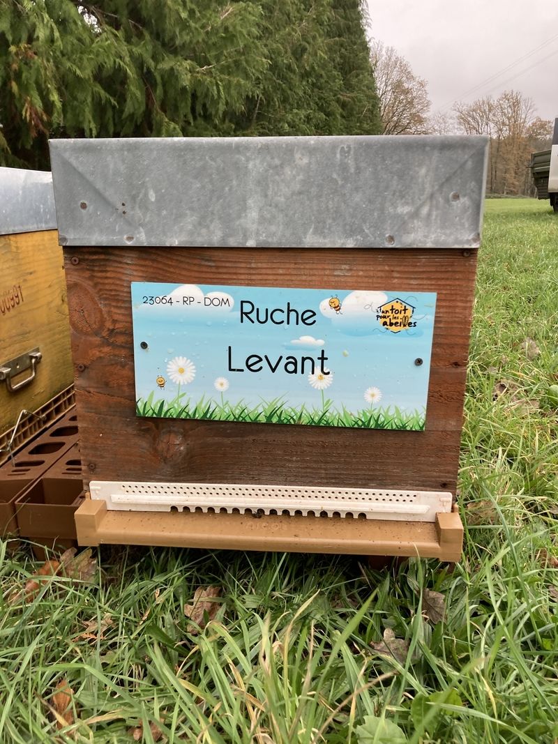 La ruche Levant