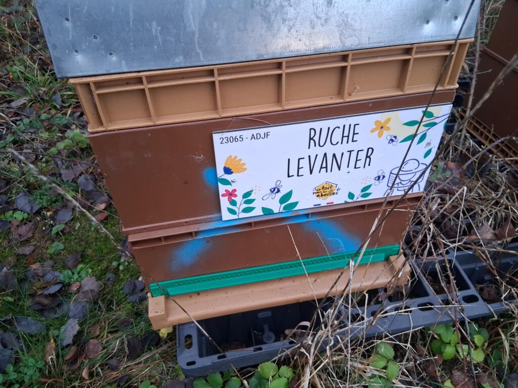 La ruche Levanter