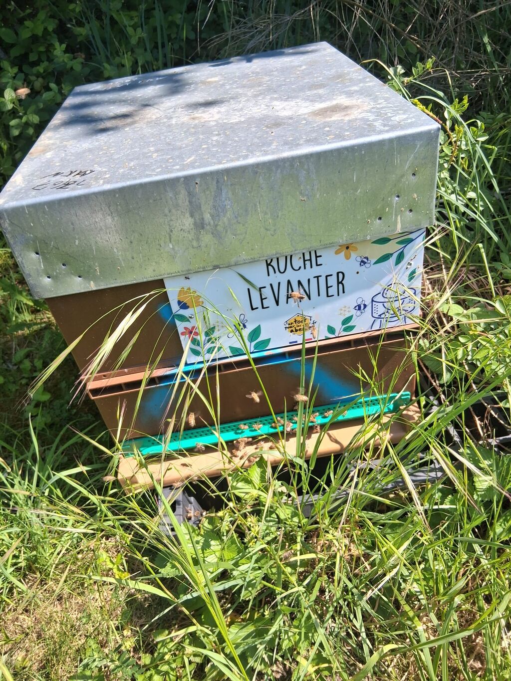 La ruche Levanter