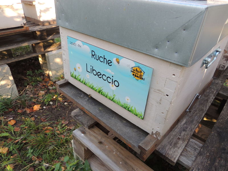 La ruche