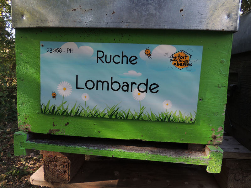 La ruche