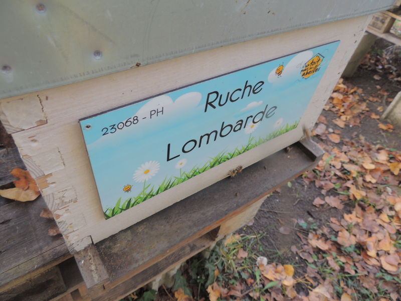 La ruche