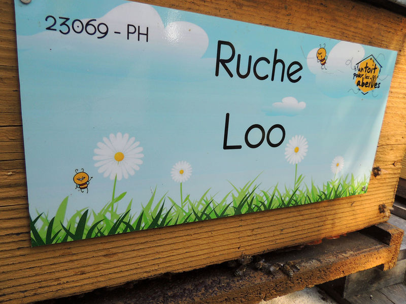 La ruche Loo