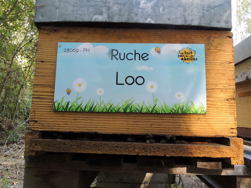 La ruche Loo