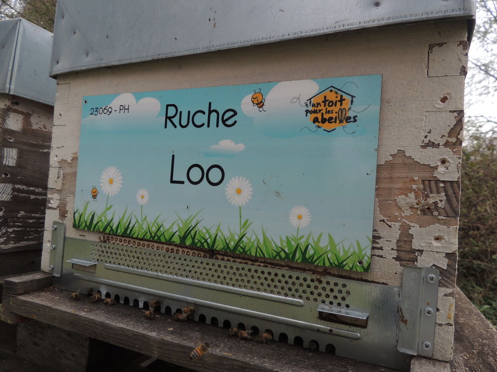La ruche