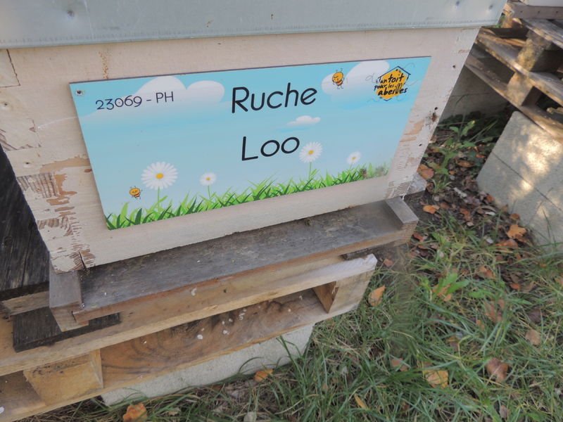 La ruche