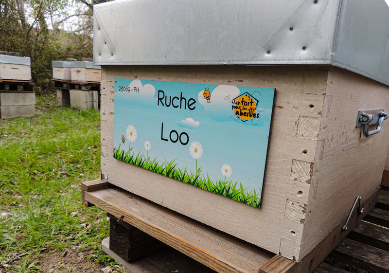 La ruche Loo