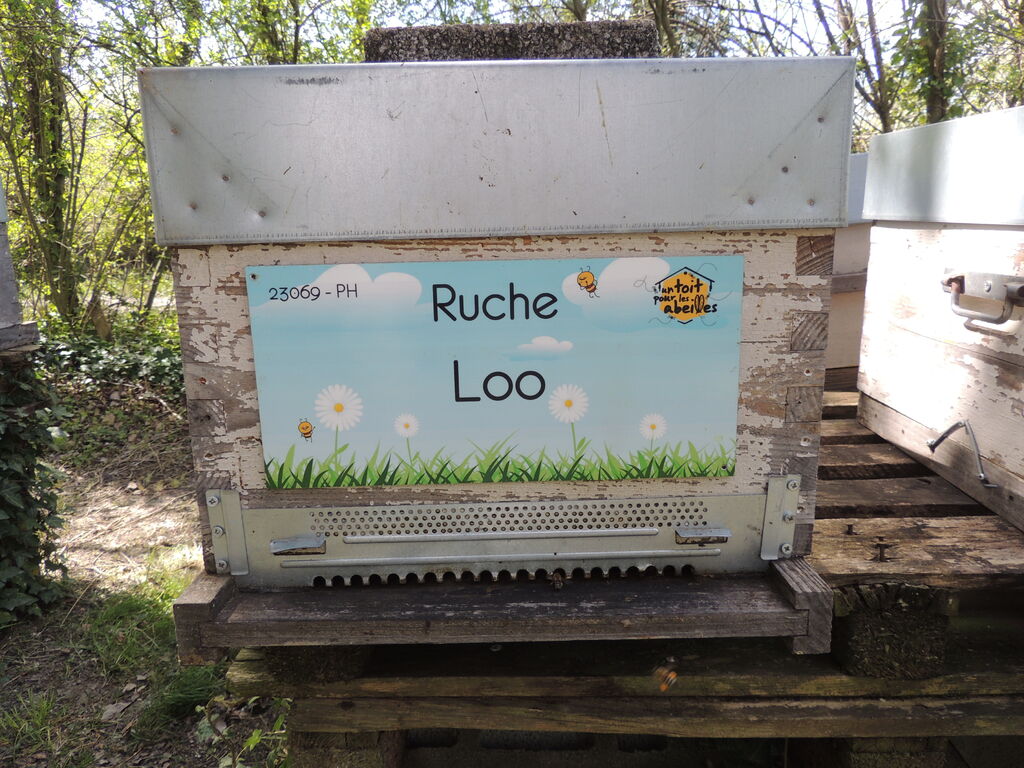 La ruche Loo