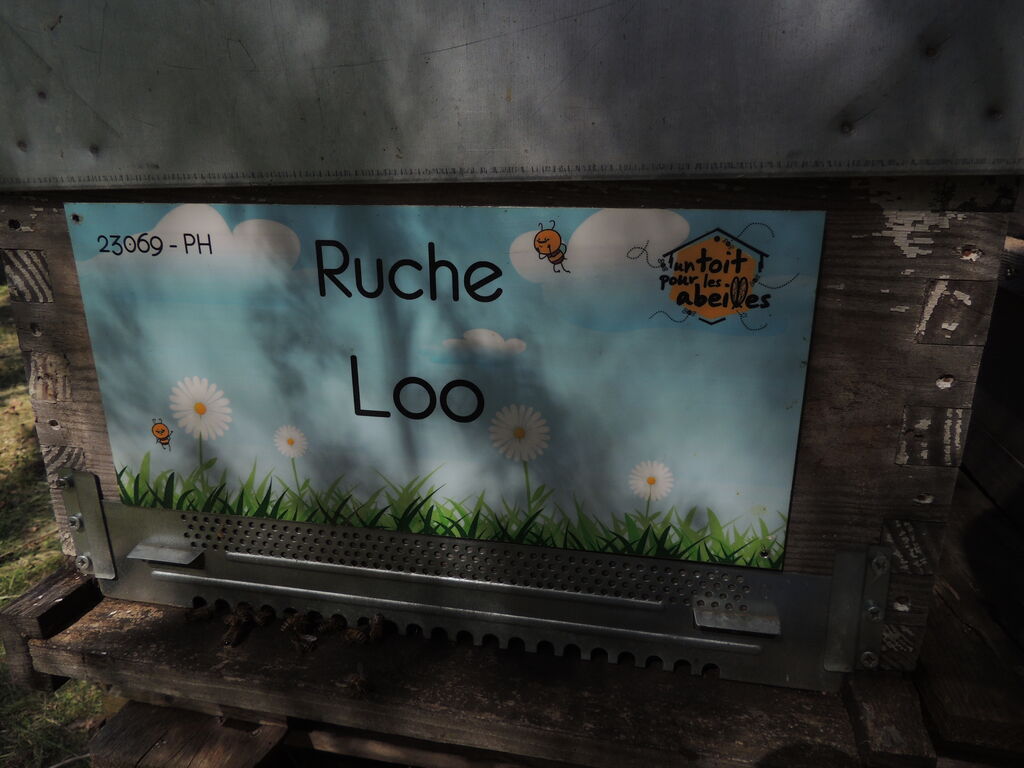 La ruche Loo