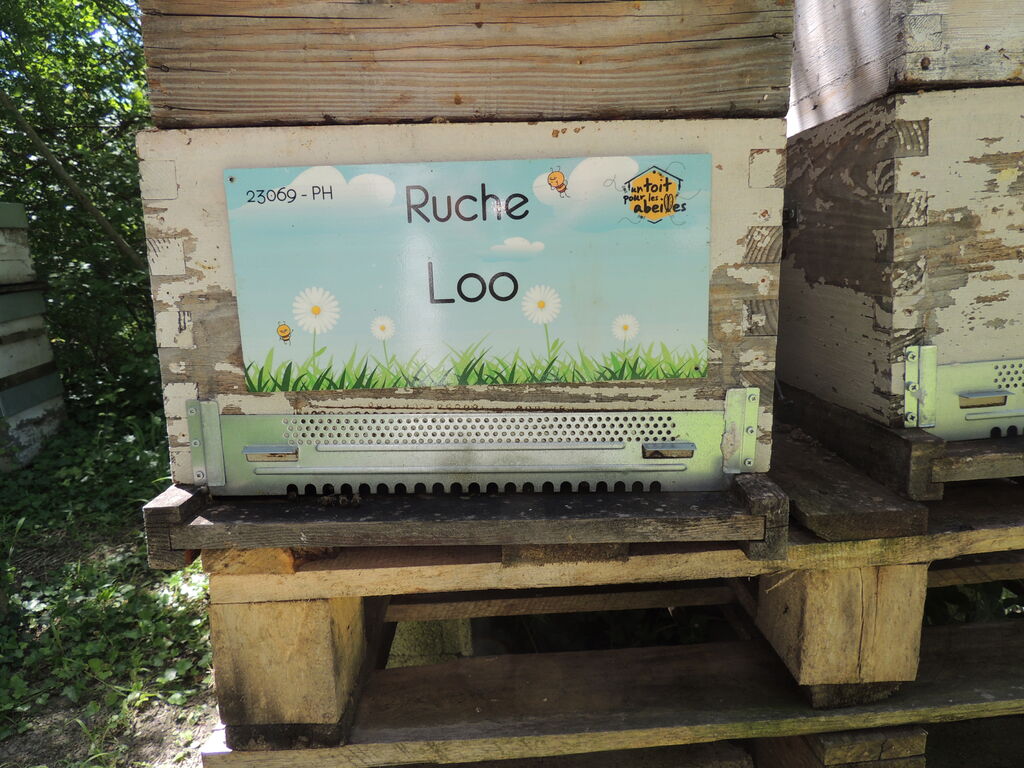 La ruche Loo