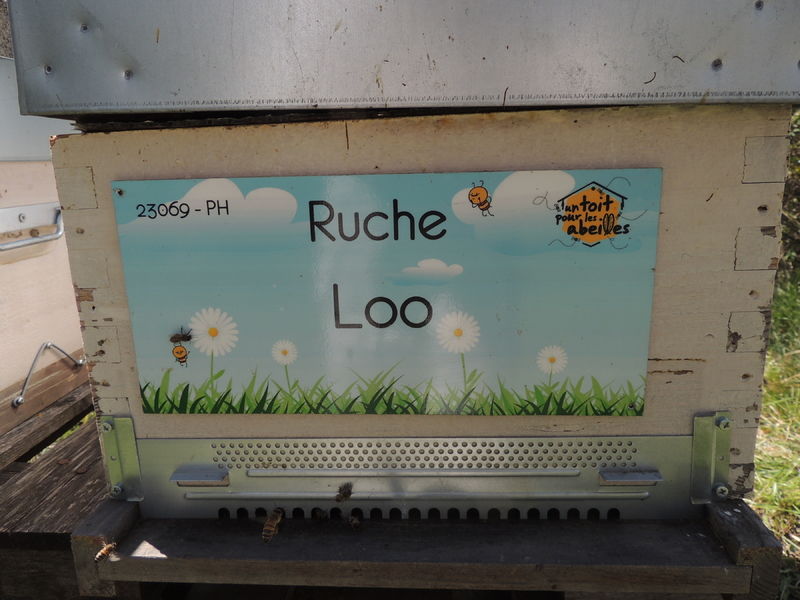 La ruche Loo