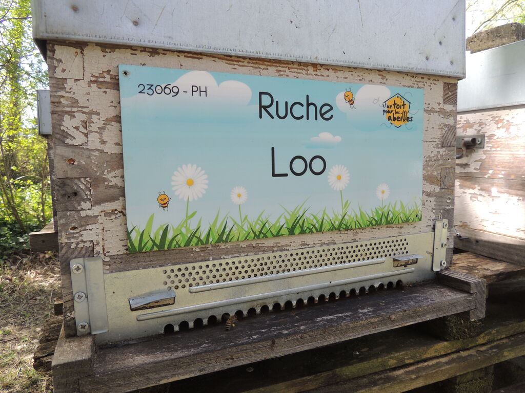 La ruche Loo