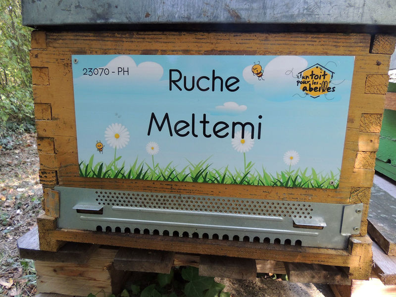 La ruche