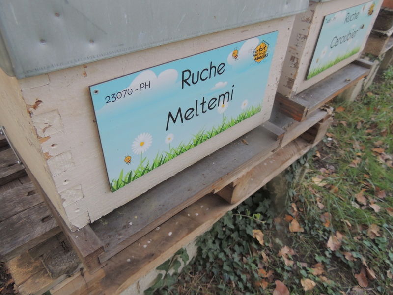 La ruche