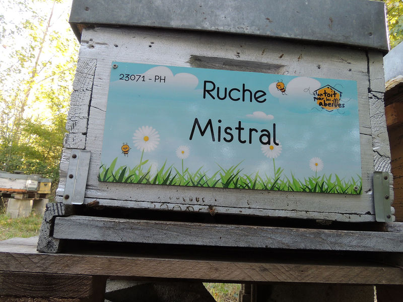 La ruche