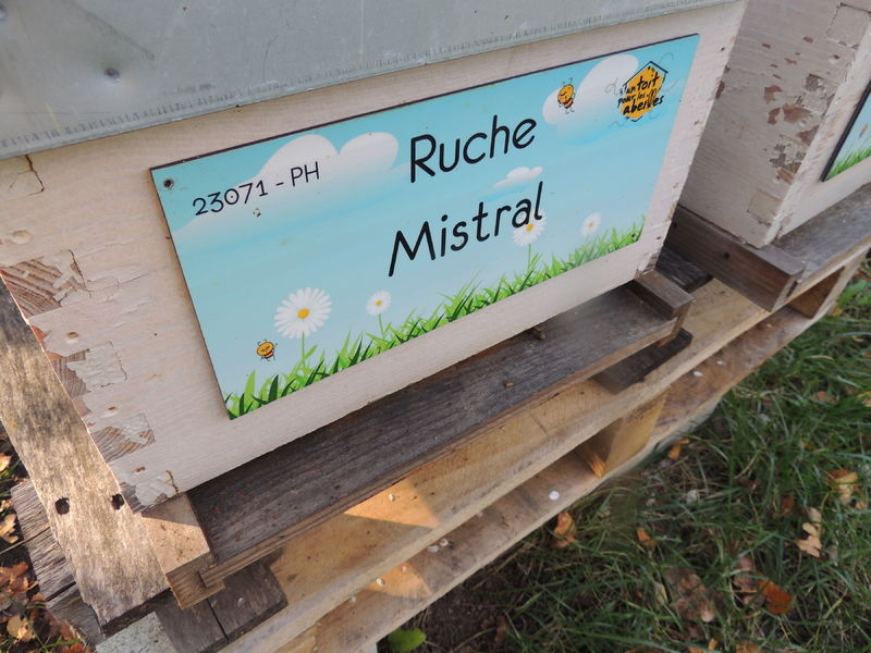 La ruche