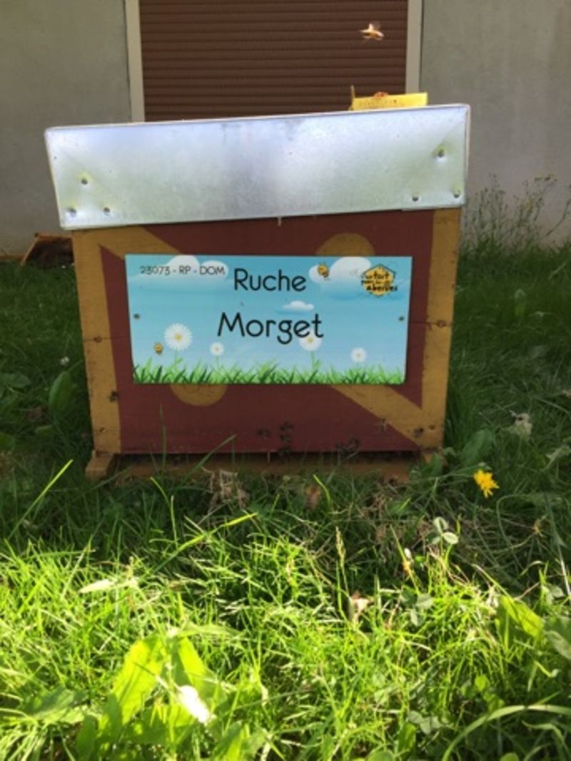 La ruche Morget
