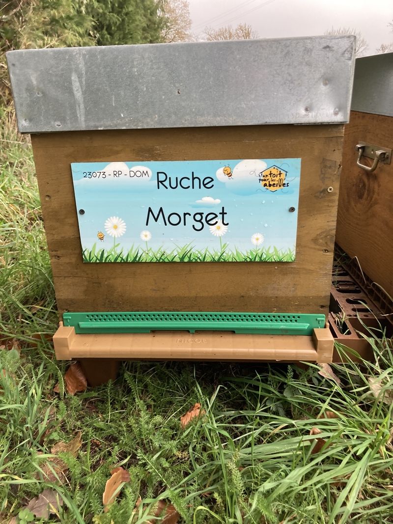 La ruche Morget