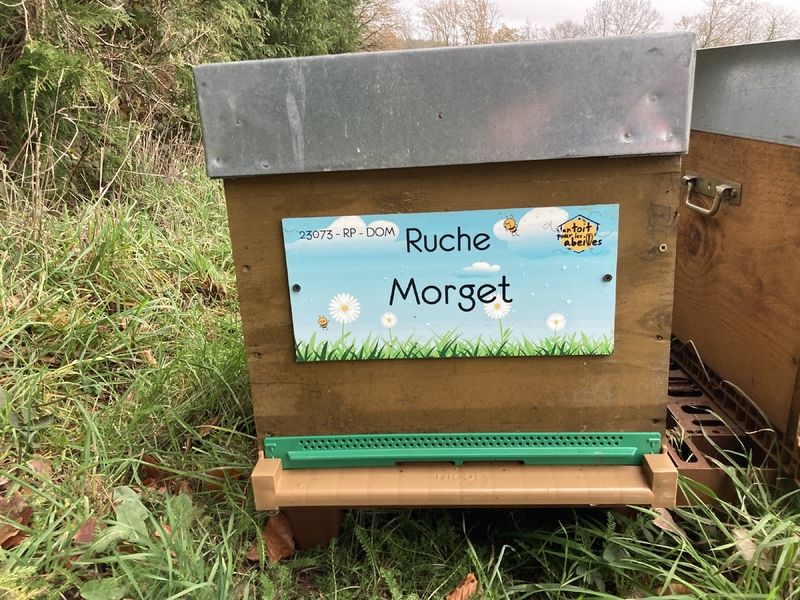 La ruche Morget