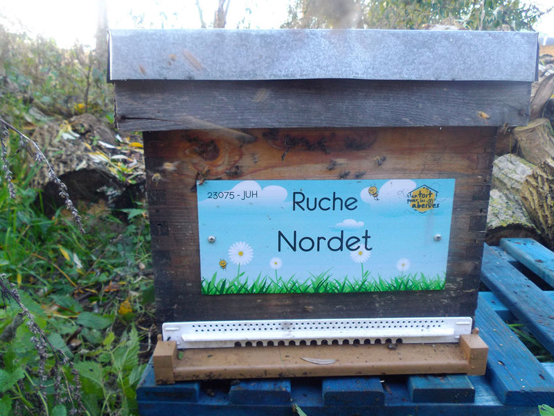 La ruche