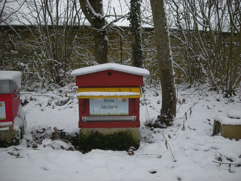 La ruche Séchard