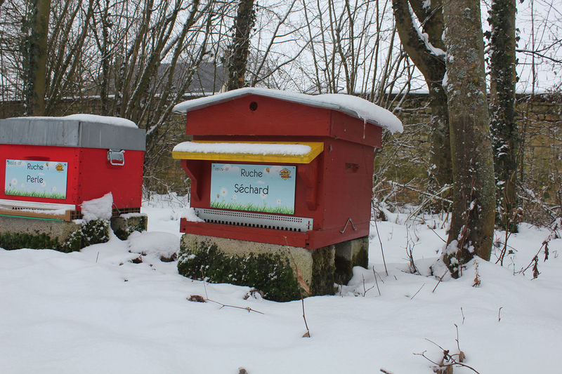 La ruche Séchard