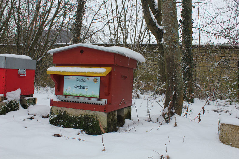 La ruche Séchard