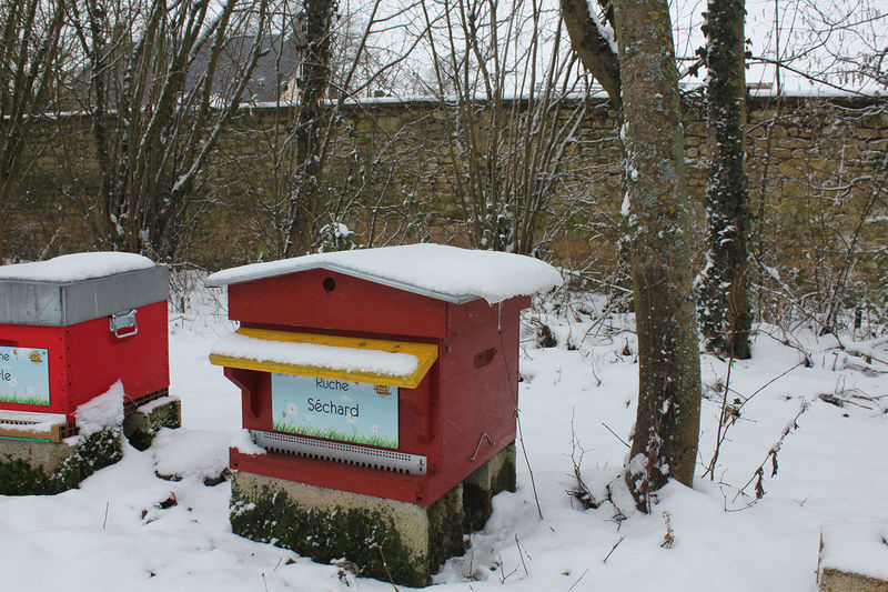 La ruche Séchard