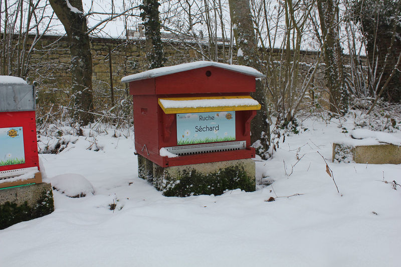 La ruche Séchard