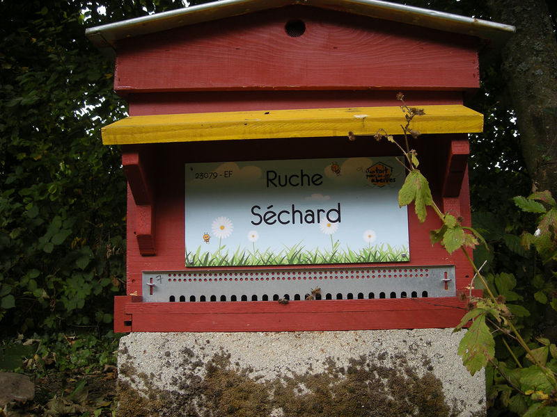 La ruche Séchard