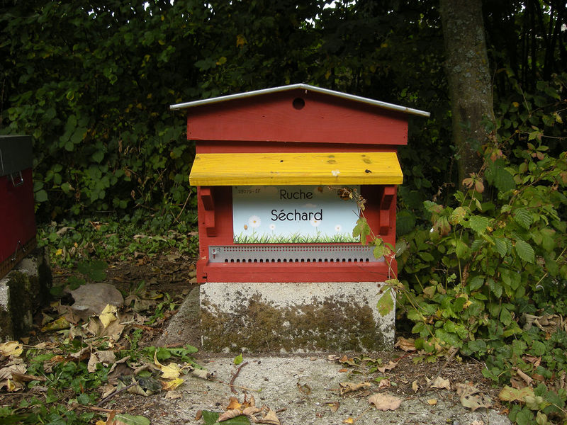 La ruche Séchard