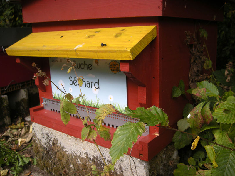 La ruche Séchard