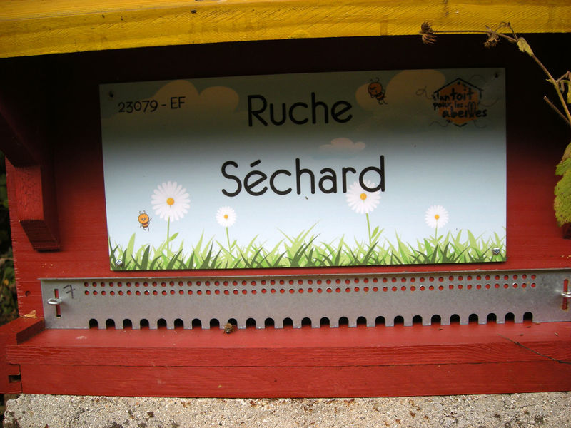 La ruche