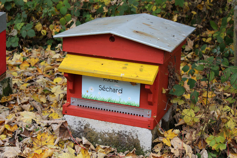 La ruche Séchard