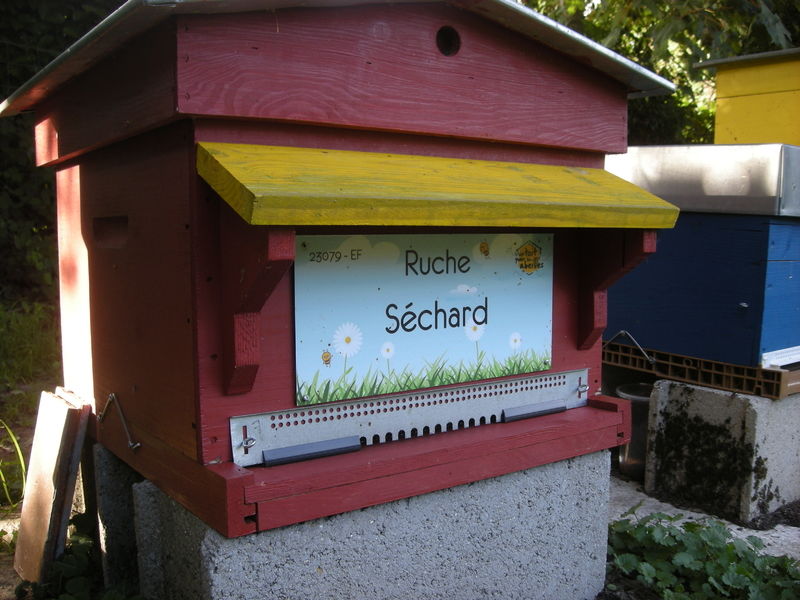 La ruche Séchard