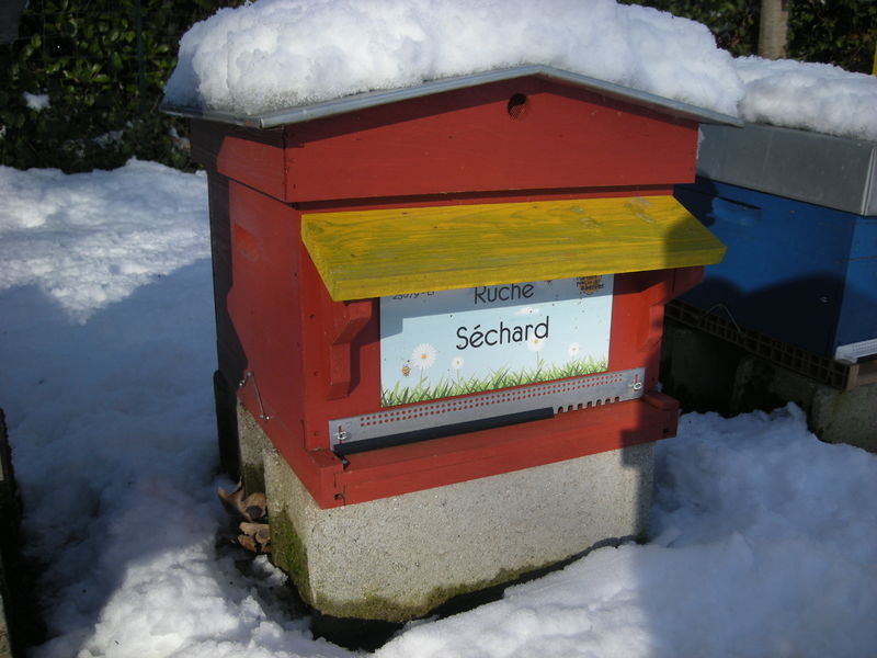 La ruche Séchard