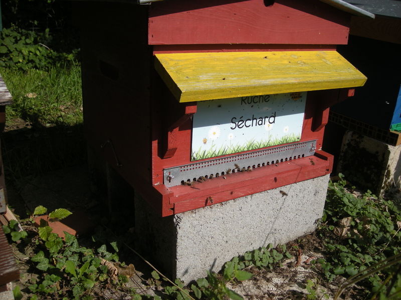 La ruche Séchard
