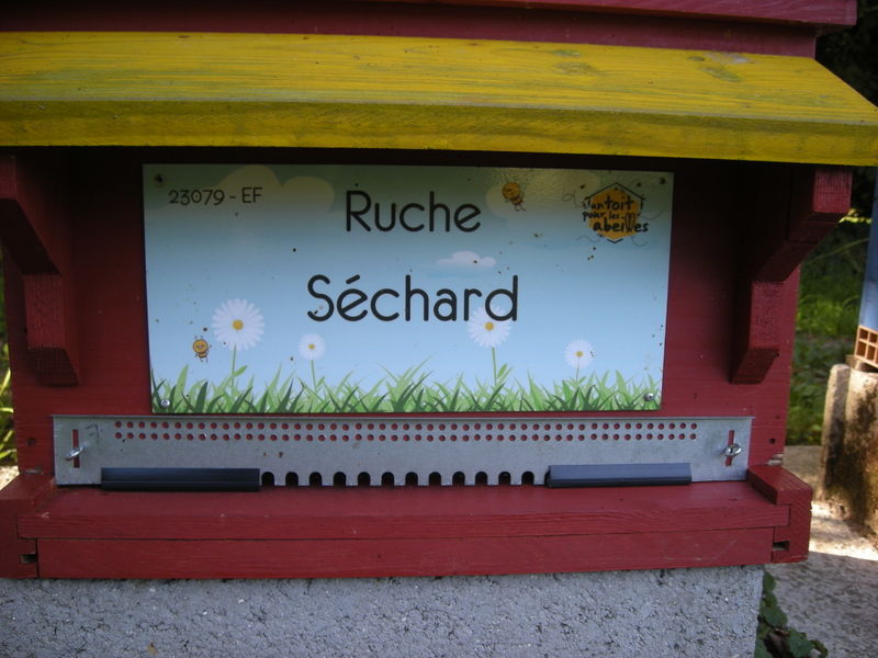 La ruche Séchard