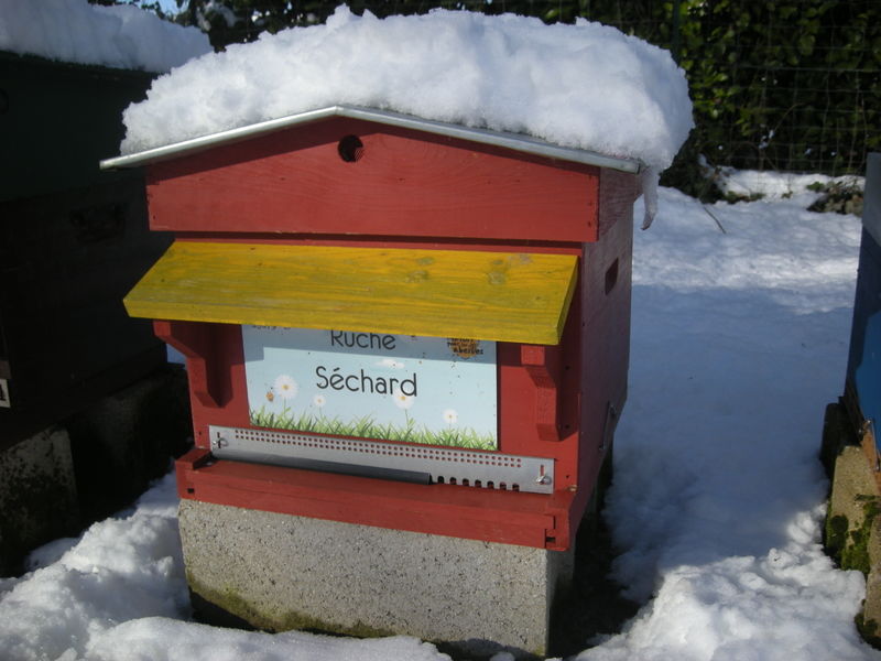 La ruche Séchard