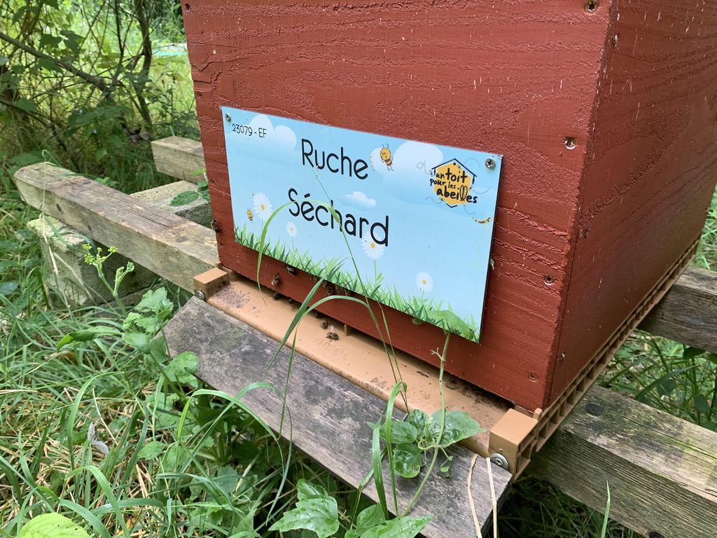 La ruche Séchard
